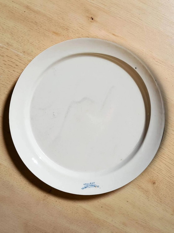 Plato redondo semihondo de loza inglesa "Cheltenham" — F. Winkle & Co. – Porcelain, Art Nouveau (photo 4 of 6)