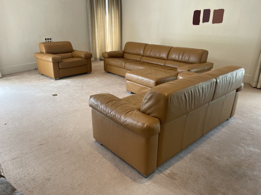 Perida design colore Torro mais