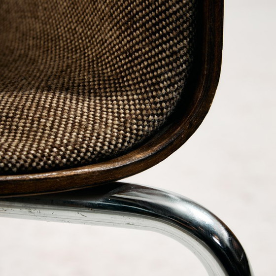 Image 1 of MK11234 Silla austriaca Wiesner-Hager