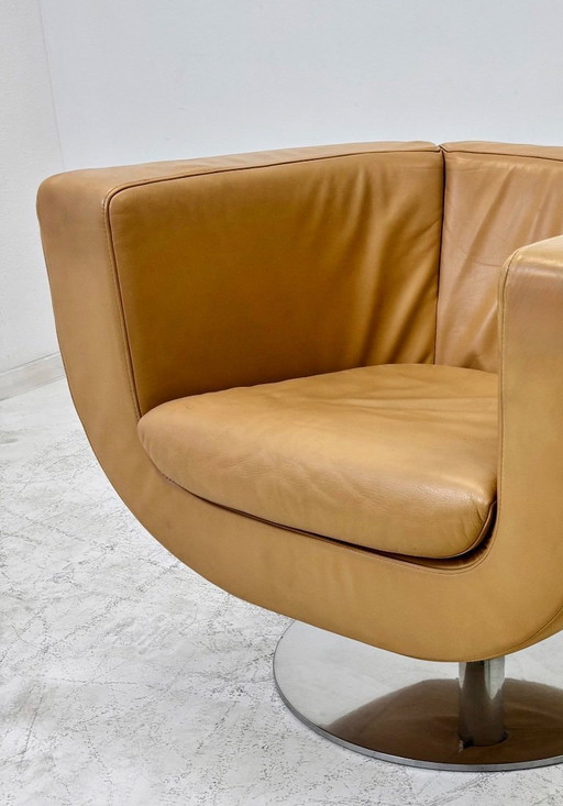 Poltrona Tulip di B&B Italia