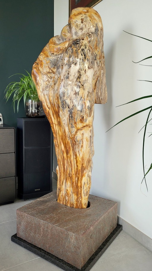 Imagen única, madre e hijo, madera petrificada.