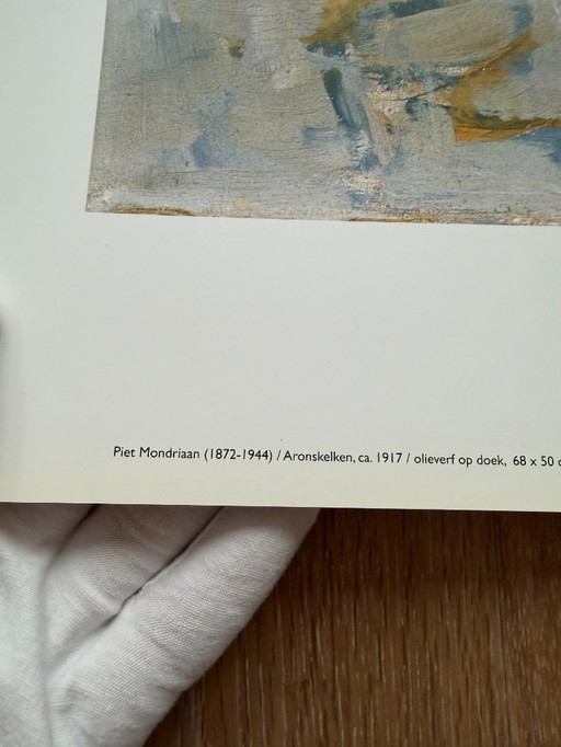 Piet Mondrian (1872-1944), Aronskelken, ca. 1917, copyright 1996 ABC/Mondrian Estate...Impreso en Holanda n.° 831
