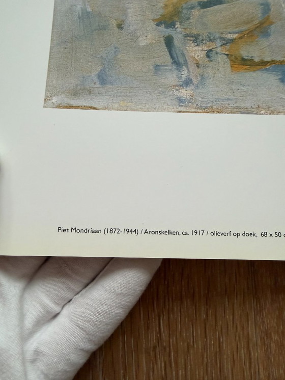 Image 1 of Piet Mondrian  (1872-1944), Aronskelken, ca. 1917, copyright 1996 ABC/Mondrian Estate...Printed in Holland #831