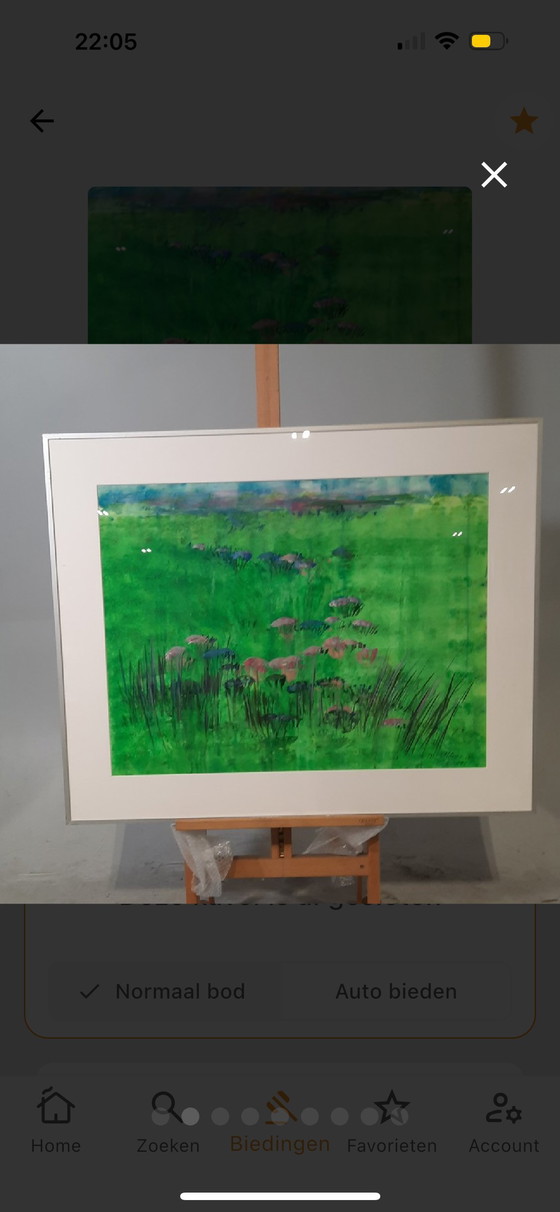 Image 1 of Maya Wildevuur - aquarelle - 91x110 cm - Champ de fleurs