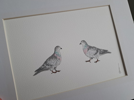 Pintura en acuarela de pequeñas palomas | Incluye marco – Pinturas y dibujos, Paper (photo 5 of 5)