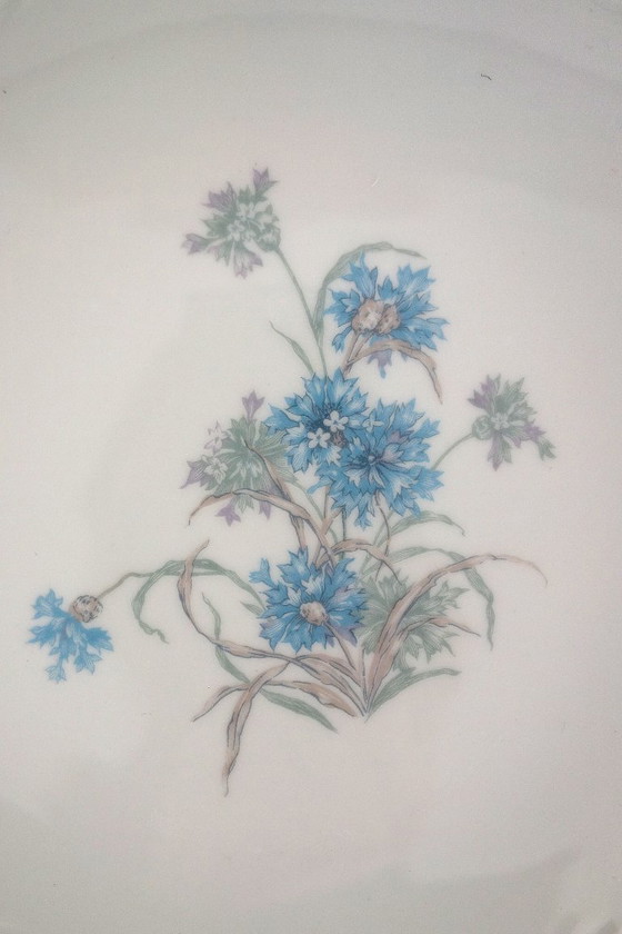 Image 1 of 12-delig dessertservies "Bergère", Haviland Limoges