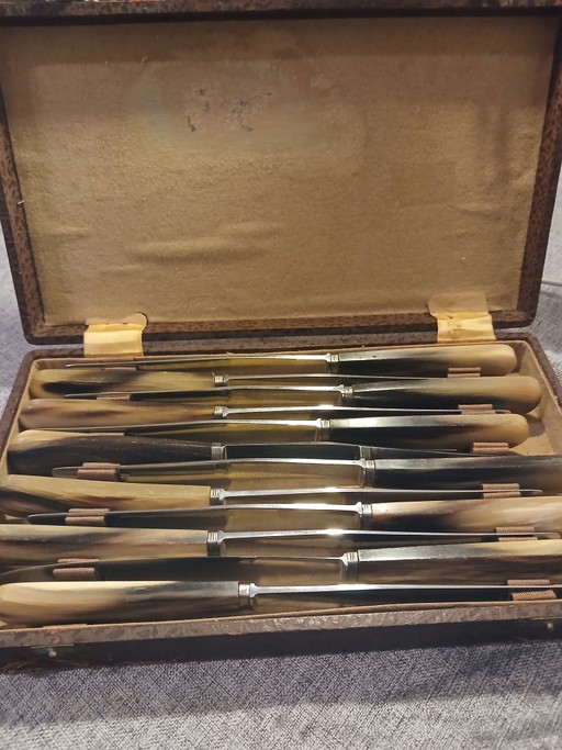 Verzameldoos uit 1920 van runderhoorn met gebeitelde messing sluiting, Thiers Cutlery, Frankrijk – besteksets (photo 2 of 11)
