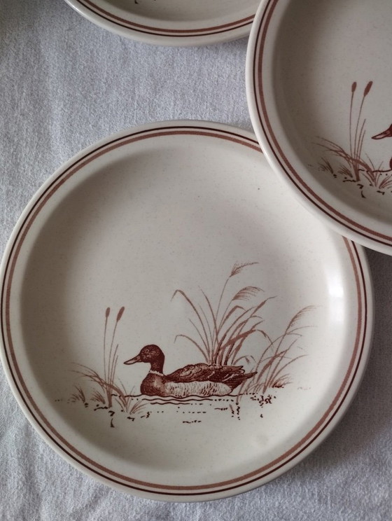 5 kleine vintage aardewerken bordjes en mokken met CHURCHILL eendjes. – Servies, Ceramic (photo 11 of 17)