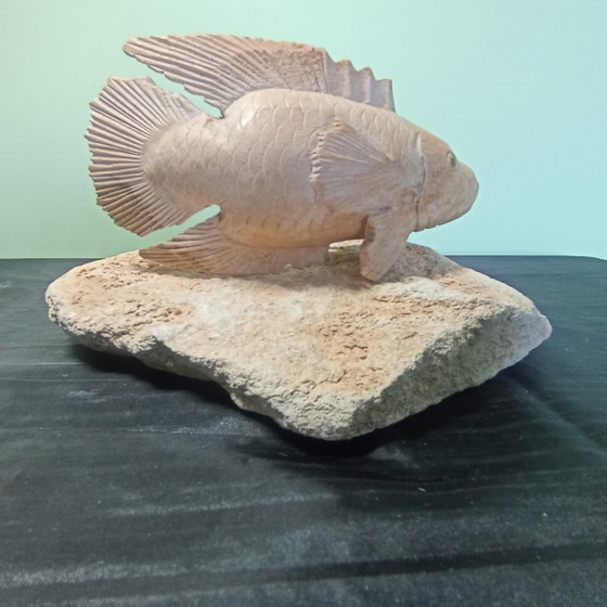 Bellissimo Oggetto Pesce in Legno su Piedistallo in Pietra – Firmato (21 x 15 cm) – Sculture, Stone, Wood (photo 3 of 6)