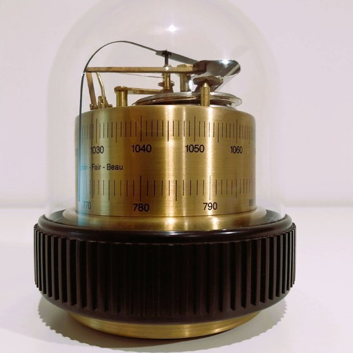 Baromètre mécanique ancien sous cloche – Objet scientifique décoratif Barigo immagine 1 Baromètre mécanique ancien sous cloche –