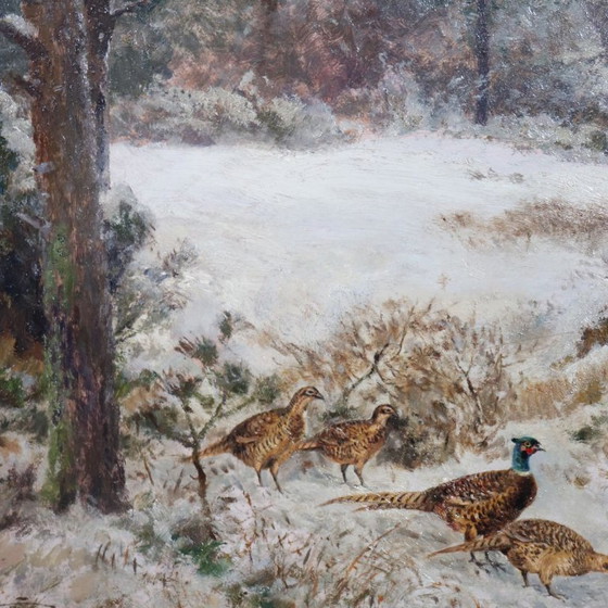 Image 1 of Pheasants in the Snow, Oil Painting on Board, Signed Wilhelm Buddenberg