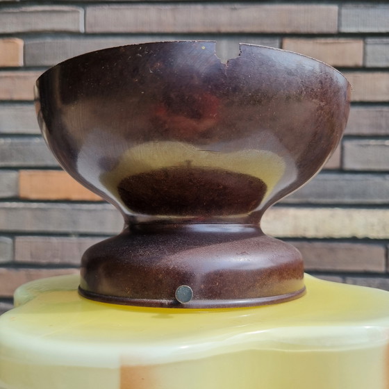 Image 1 of Deckenleuchte aus den 1930er/40er Jahren, mattiertes Glas mit Blumenmotiv, 28 cm/11 Zoll