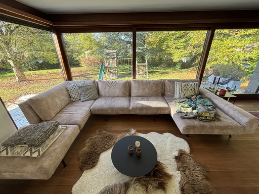 Chaises longues partout Zico