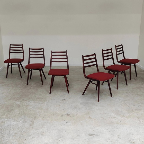 Set of 6 Jitona Sobeslav chairs, Czechoslovakia 1960 – Dining chairs, Mid Century Modern (photo 8 of 21)