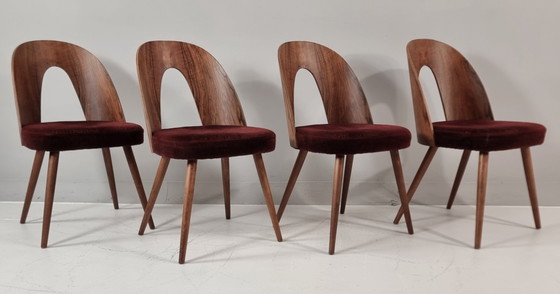 Image 1 of Chaises vintage d'Antonin Suman, années 1960, lot de 4