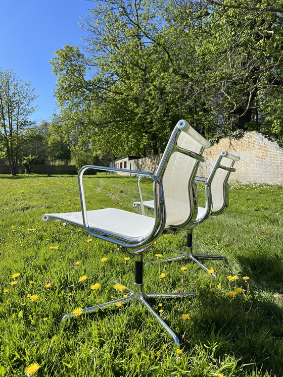 Image 1 of 2X EA107 rete bianca