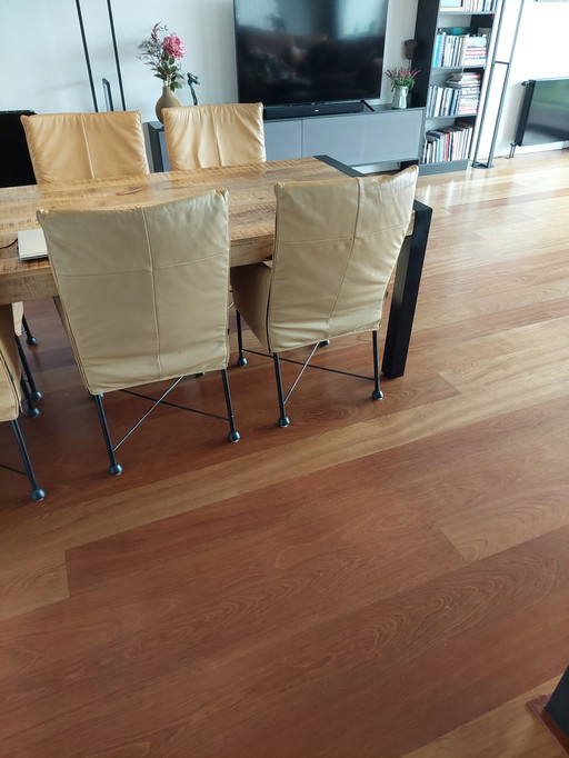 6 chaises de salle à manger Montis Chaplin.