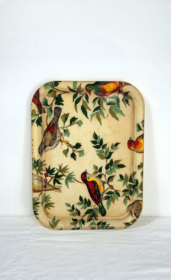 Vintage dienblad met exotische vogeldecoratie, 40 × 30 cm, Keukenaccessoires, Anders, Meerdere kleuren (foto 7 van 7)