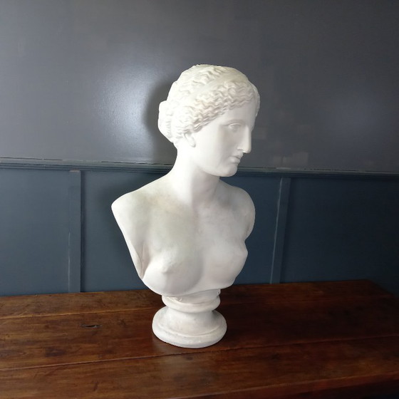 Image 1 of Busto excepcionalmente grande de tamaño natural de la Venus de Milo, busto grande de yeso