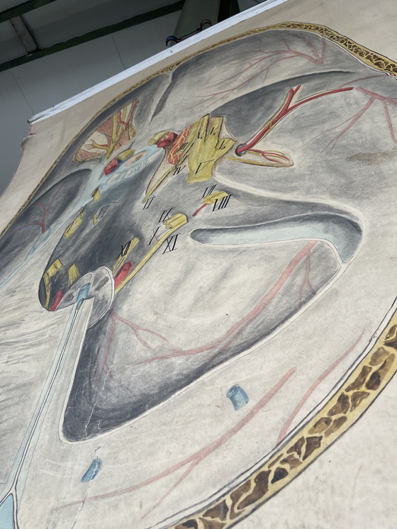 Image 1 of 1911 Cartel anatómico de época de un corte transversal del cerebro humano,