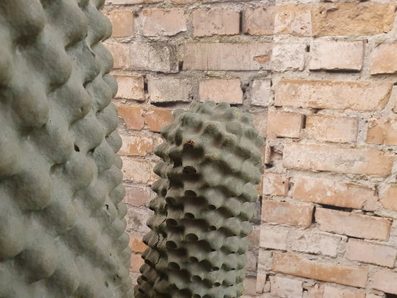 Cactus Gufram – Plastique vert | Drocco & Mello – Portemanteaux, Plastic (photo 5 of 8)