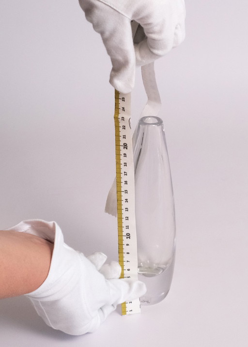 Vase transparent en forme d'ellipse