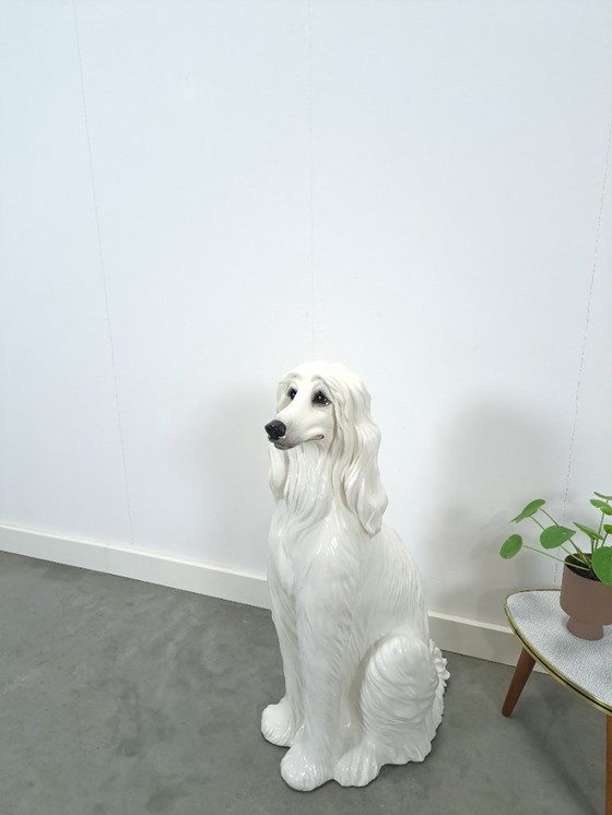 Image 1 of Large Italian ceramic statue of a dog