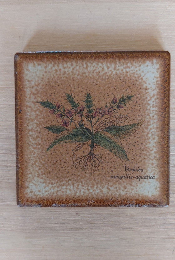 Image 1 of 16 confezioni da 6 piastrelle da parete in ceramica vintage con stampa botanica, anni '70