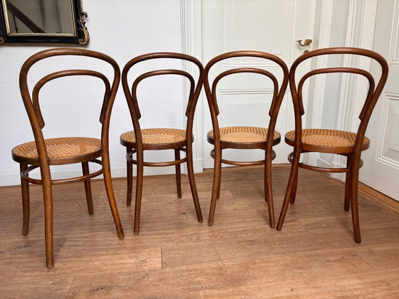 4x Thonet no 14 style chairs with excellent webbing seat, ZPM Radomsko, Dining chairs, Rattan, Wood, Beige (photo 5 of 10)
