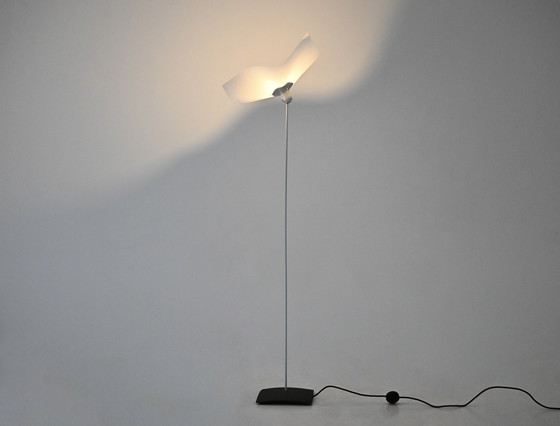 Image 1 of Area 160 Floor Lamp by Mario Bellini for Artemide, 1960s