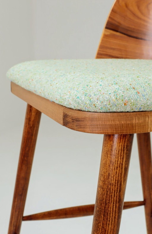 Scandinavian Bar Stool Apple Green Granola Palisander Brasil