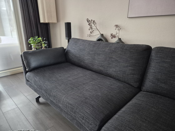 Divano lounge Fauve del marchio Indera, Divani, Pelle, Metallo, Nero, Modern (foto 4 di 8)