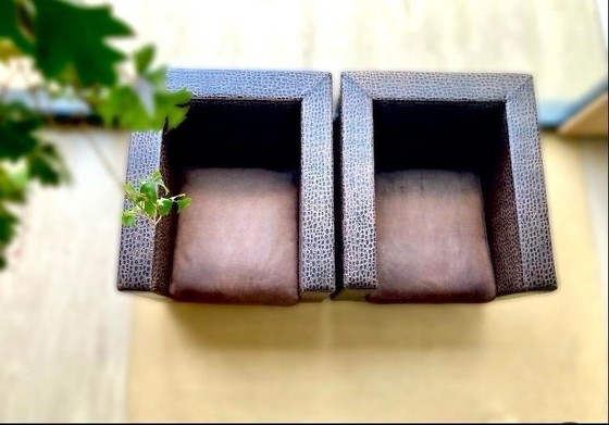 Image 1 of Minotti línea maleta estampado cocodrilo sillón lounge Rodolfo Dordoni años 90