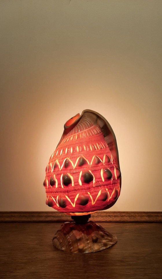 Image 1 of Cameo shell shade. Schelp tafellamp  jaren 20/30