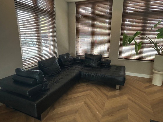 Image 1 of Montel Cipriani Pelle di vacchetta nera