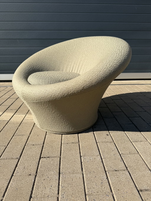 Vintage Artifort Mushroom Chair Mint Green Zeer Goede Staat!