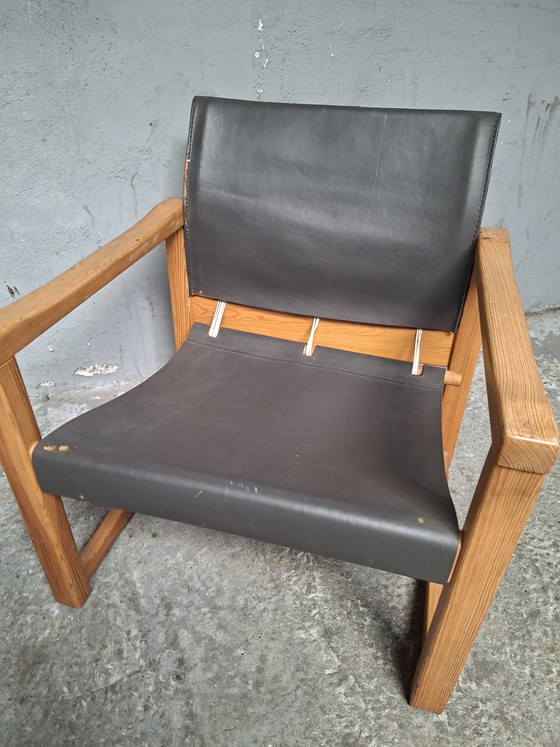 Image 1 of Karin Mobring, responsabile del safari