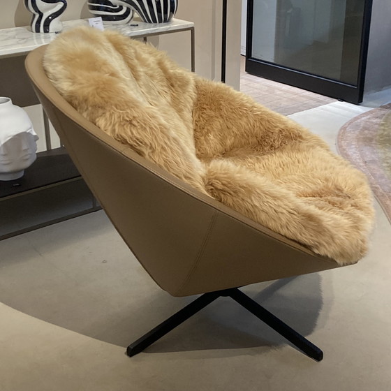 Image 1 of de Sede DS-265/01 Coco armchair