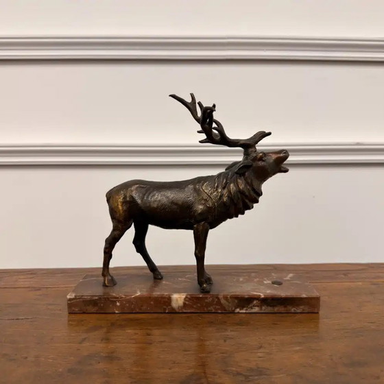 Buy Bronze Red Deer Sculpture? - Wide selection!, Chesterfield (photo 7 of 8)