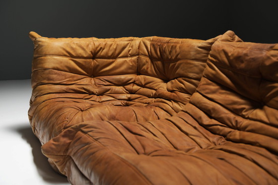 Image 1 of Perfect Rich Patinated Togo in Original Natural Leather by Michel Ducaroy - Ligne Roset
