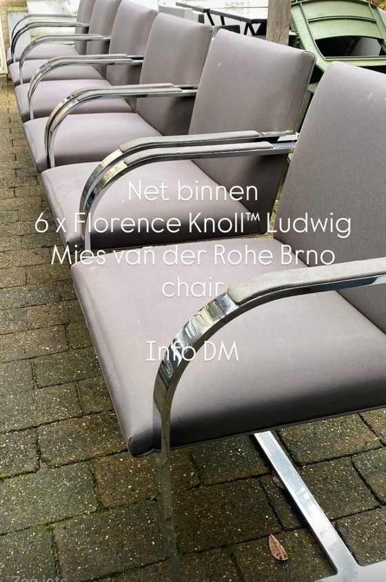 Image 1 of Set di 6 sedie Knoll Brno