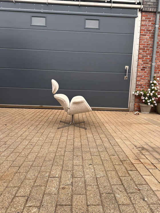 Image 1 of Artifort Big Tulip 1ª Edición 1958 Pierre Paulin, ¡¡¡Impecable estado nuevo!!!