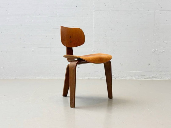 Image 1 of Three-legged chair SE 42 by Egon Eiermann for Wilde & Spieth, 1950s
