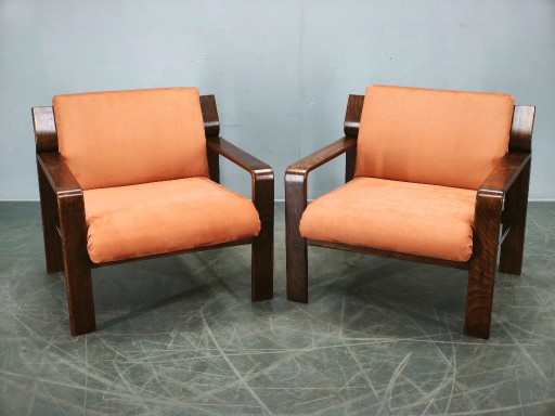 Coppia di poltrone Ludvik Volak Drevopodnik Holesov, stile Mid-Century Lounge, ceco, anni '70.