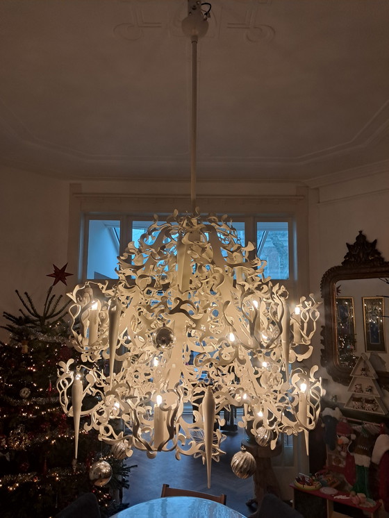 Image 1 of Marchio Van Egmond Flower Power