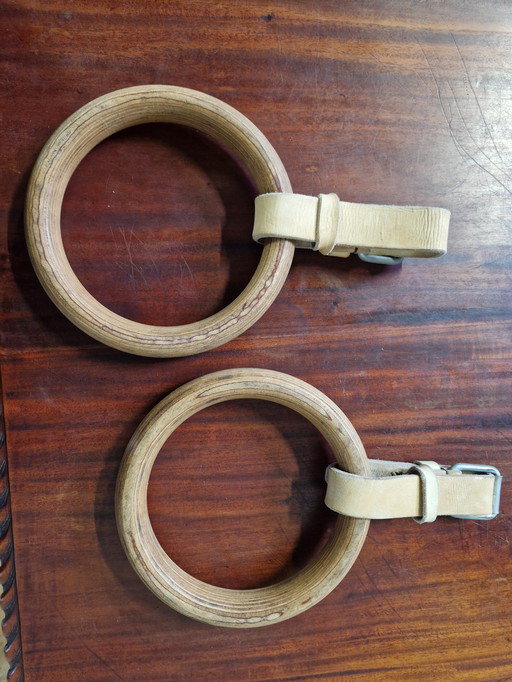 Antique gymnastics rings