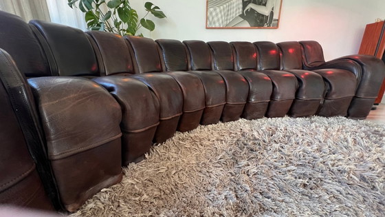 Image 1 of Sofá modular de Sede DS-600 “Snake” / “Tatzelwurm”, cuero marrón oscuro, 12 elementos,