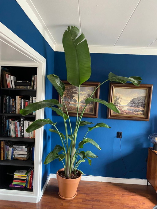 2 Dutch landscape paintings.