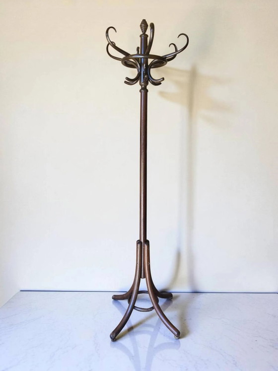 Appendiabiti a pappagallo in legno curvato di Thonet – Wood, Art Deco (photo 2 of 8)