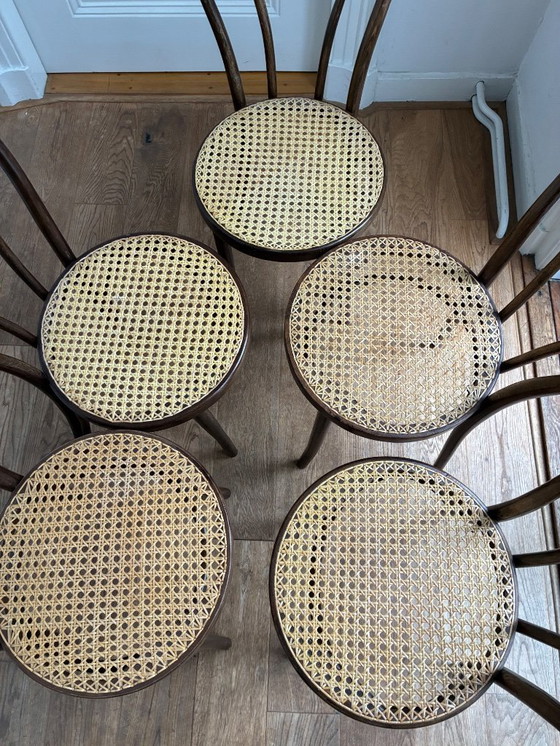 Image 1 of Set di 5 sedie Thonet n. 18 di ZPM Radomsko